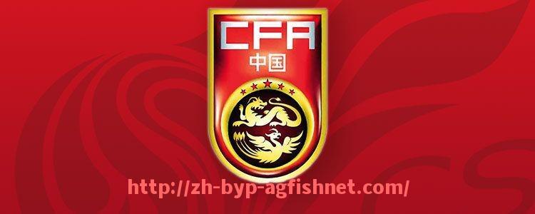 AG捕鱼王官网-巴西顶级球员在英超联赛中的出色表现与影响力分析