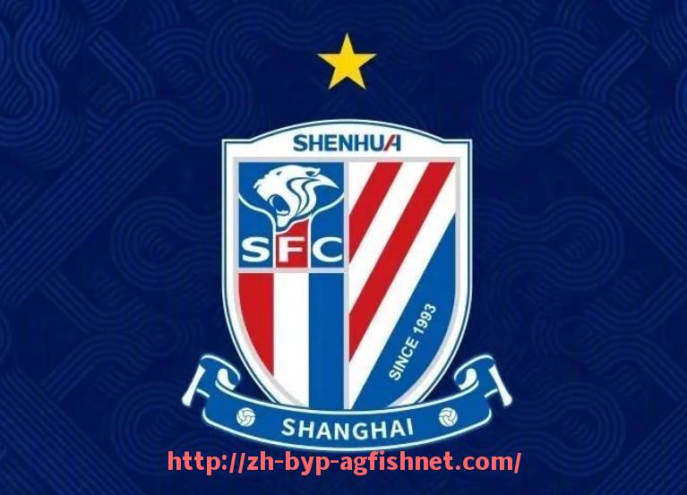 AG捕鱼王官网-维拉蒂曾效力于哪家意甲球队？职业轨迹解析