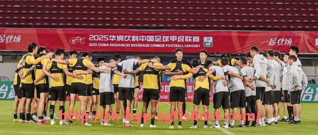 AG捕鱼王官网-2025年世俱杯比赛策略调整的成功经验与实战解析