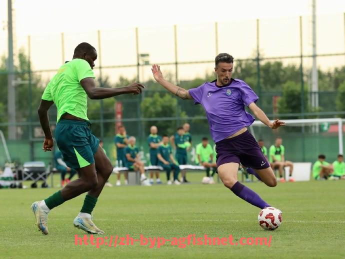 AG捕鱼王官网-世俱杯中前场连续传球次数与最终得分的关联性建模研究