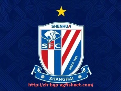 AG捕鱼王官网-意甲只有19个球队的原因及历史变迁分析